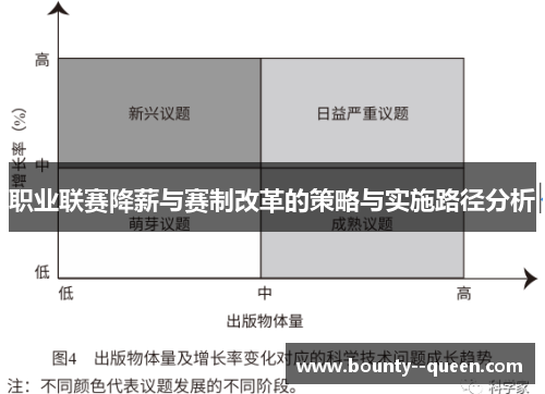 职业联赛降薪与赛制改革的策略与实施路径分析