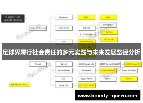 足球界履行社会责任的多元实践与未来发展路径分析