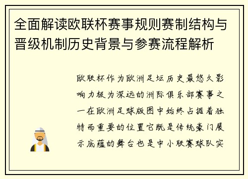 全面解读欧联杯赛事规则赛制结构与晋级机制历史背景与参赛流程解析