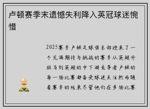 卢顿赛季末遗憾失利降入英冠球迷惋惜